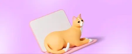 casual cat image